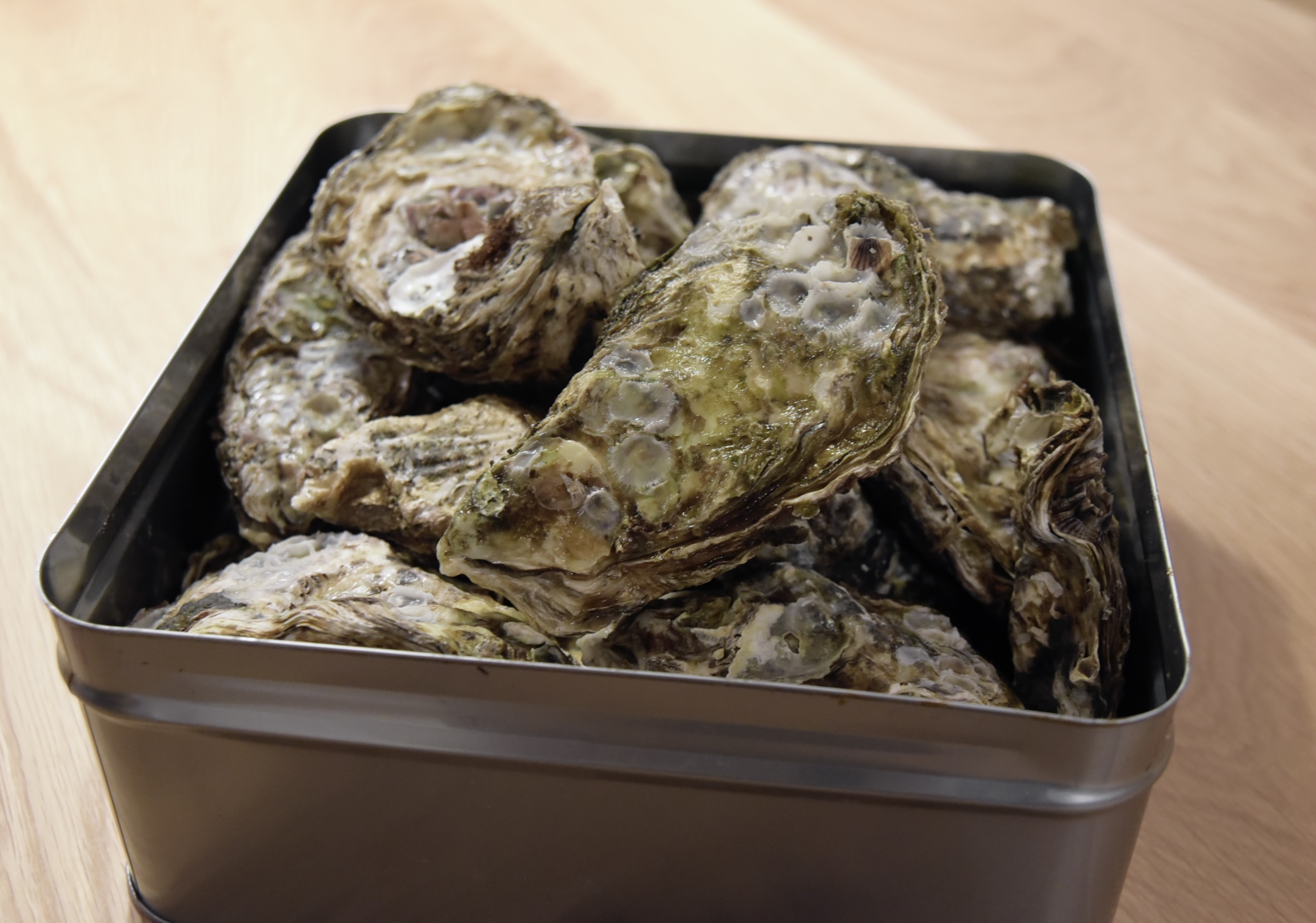 食材オプション～殻付き牡蛎（有料）