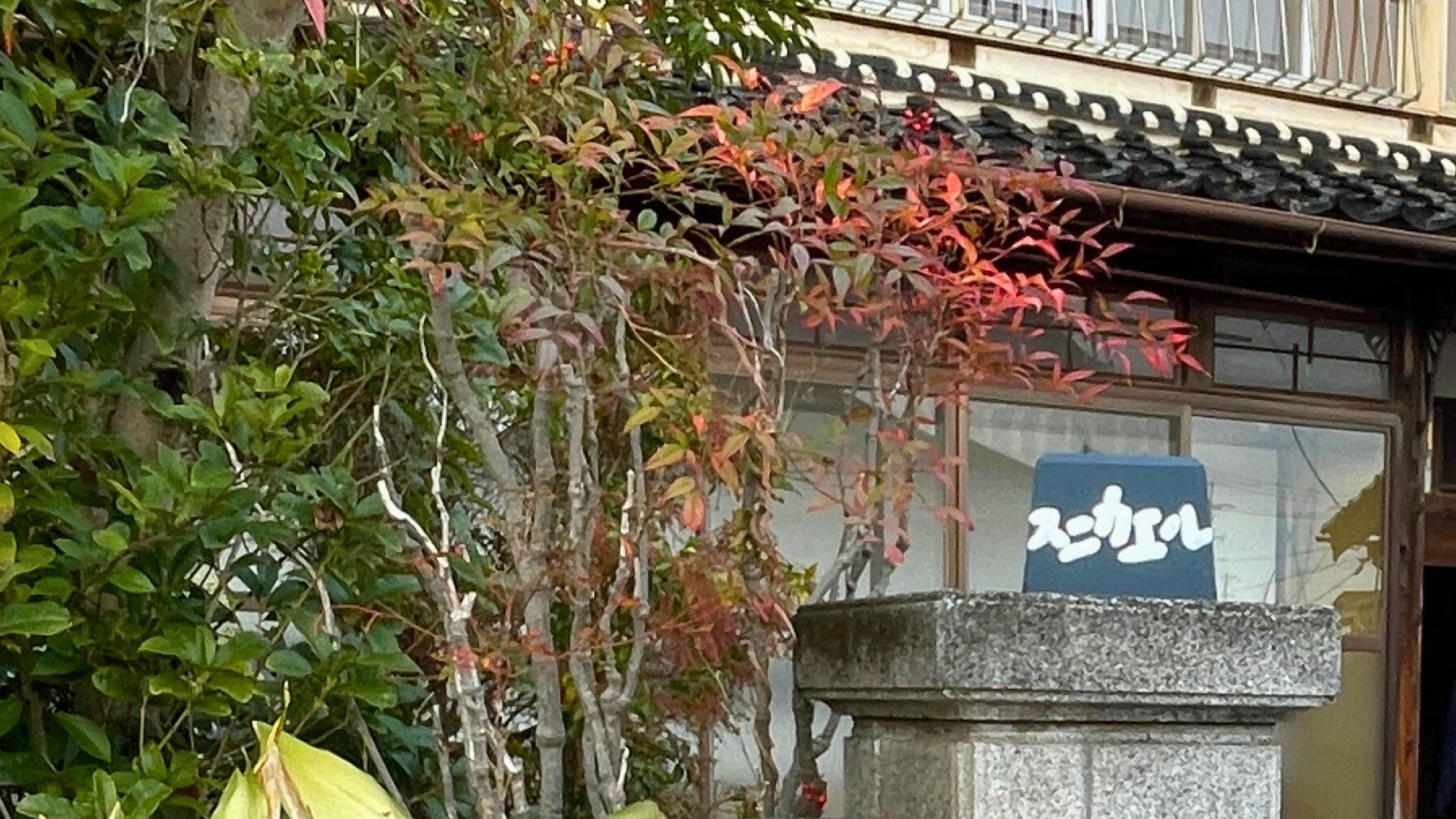 ◆小さな看板が目印