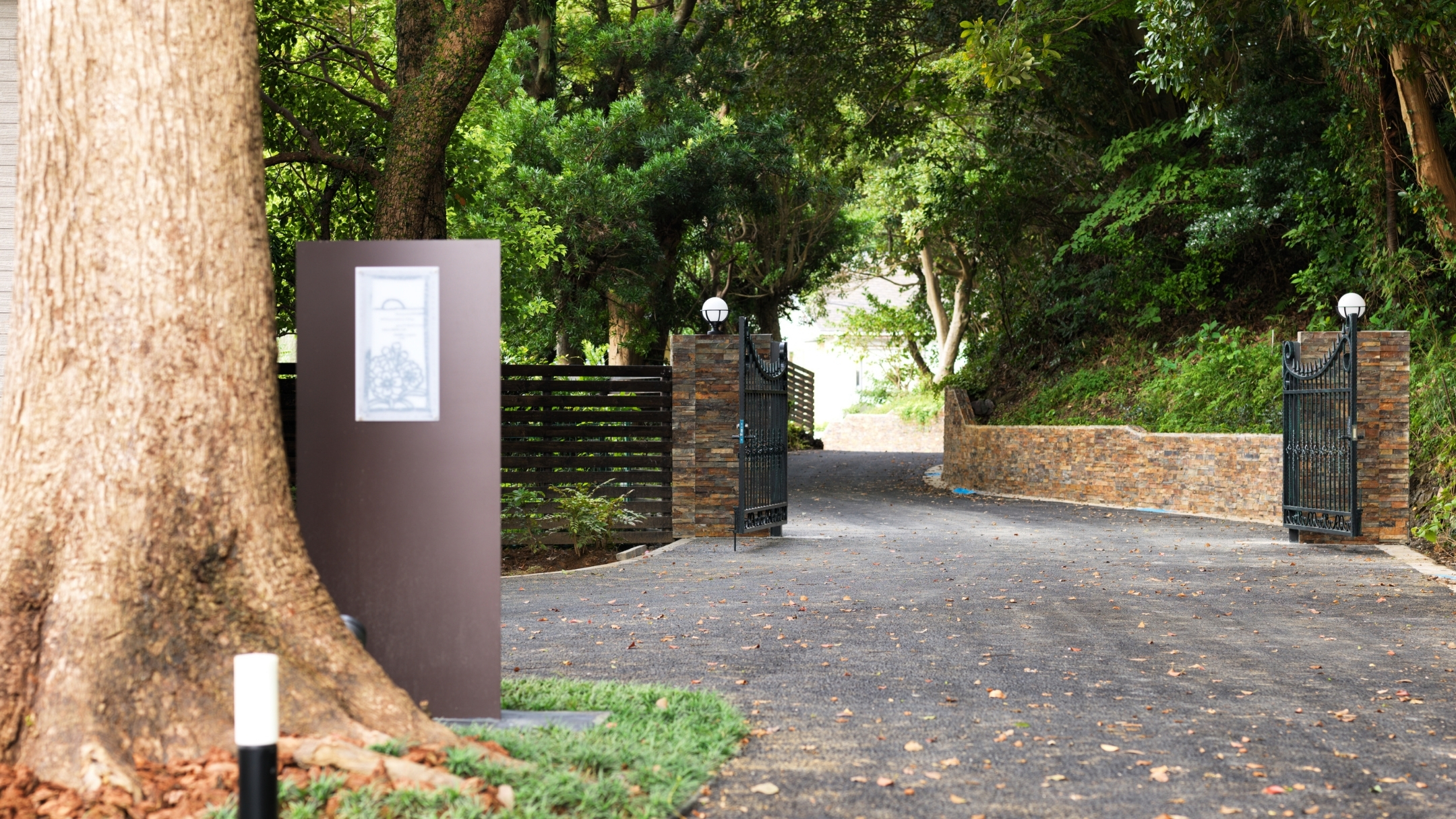 【アプローチ】日常と非日常を分かつ森のトンネルーPoint Pinos