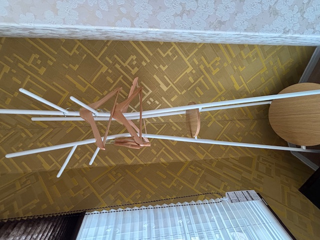 ジャパニーズ301