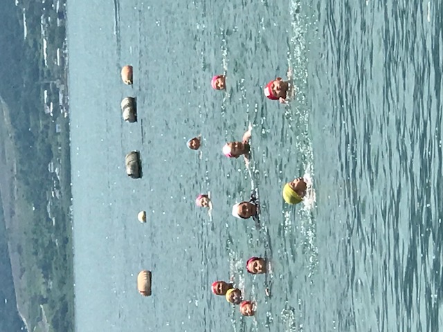 松原小学校錦江湾遠泳