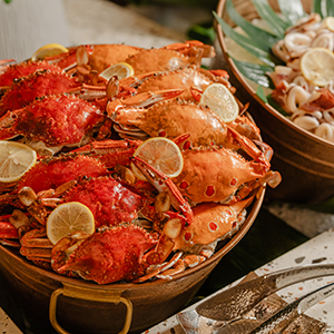 オールデー ダイニング セリーナ