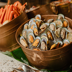 オールデー ダイニング セリーナ