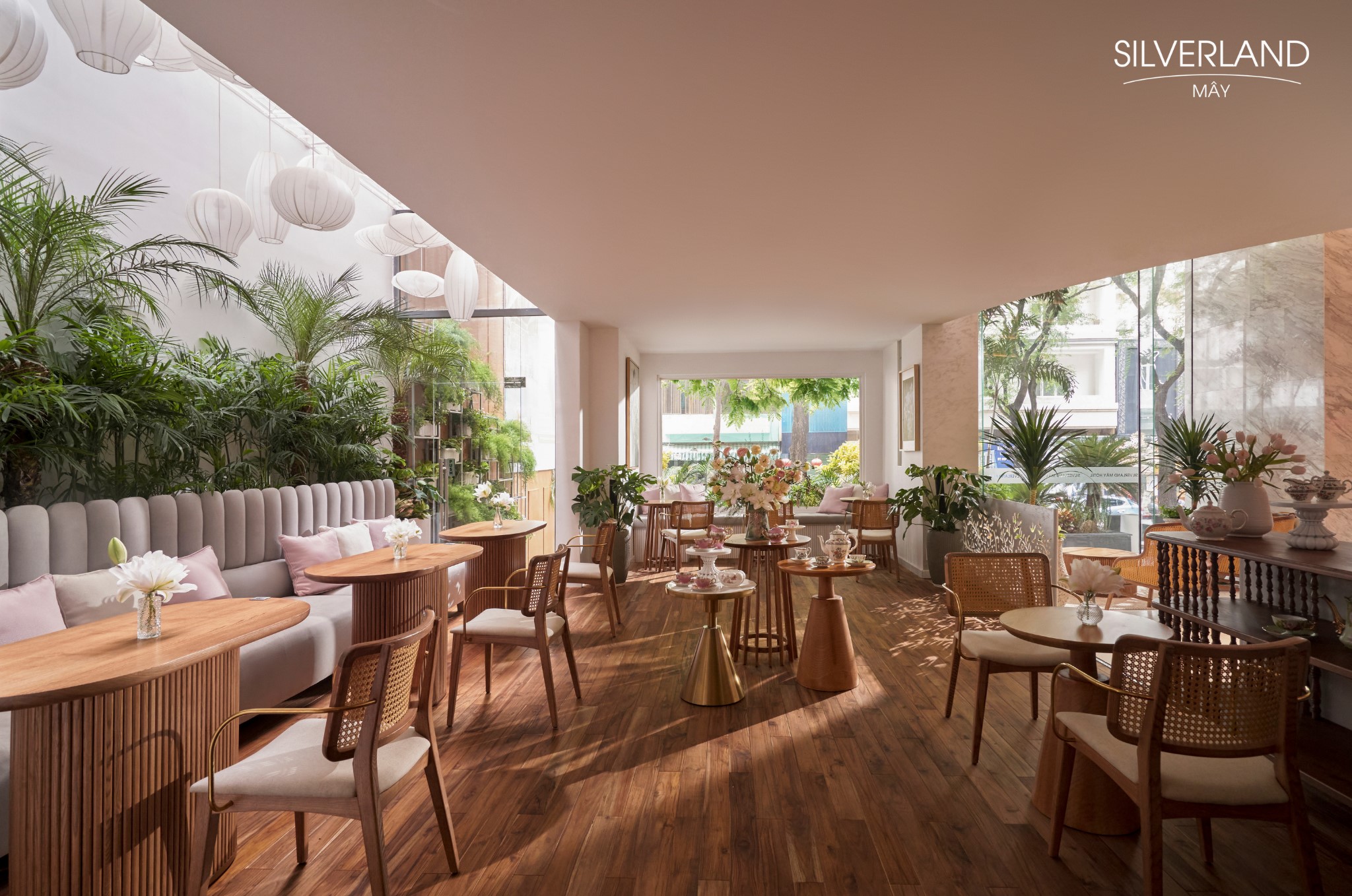 Bason Caf&eacute; Thi Sach