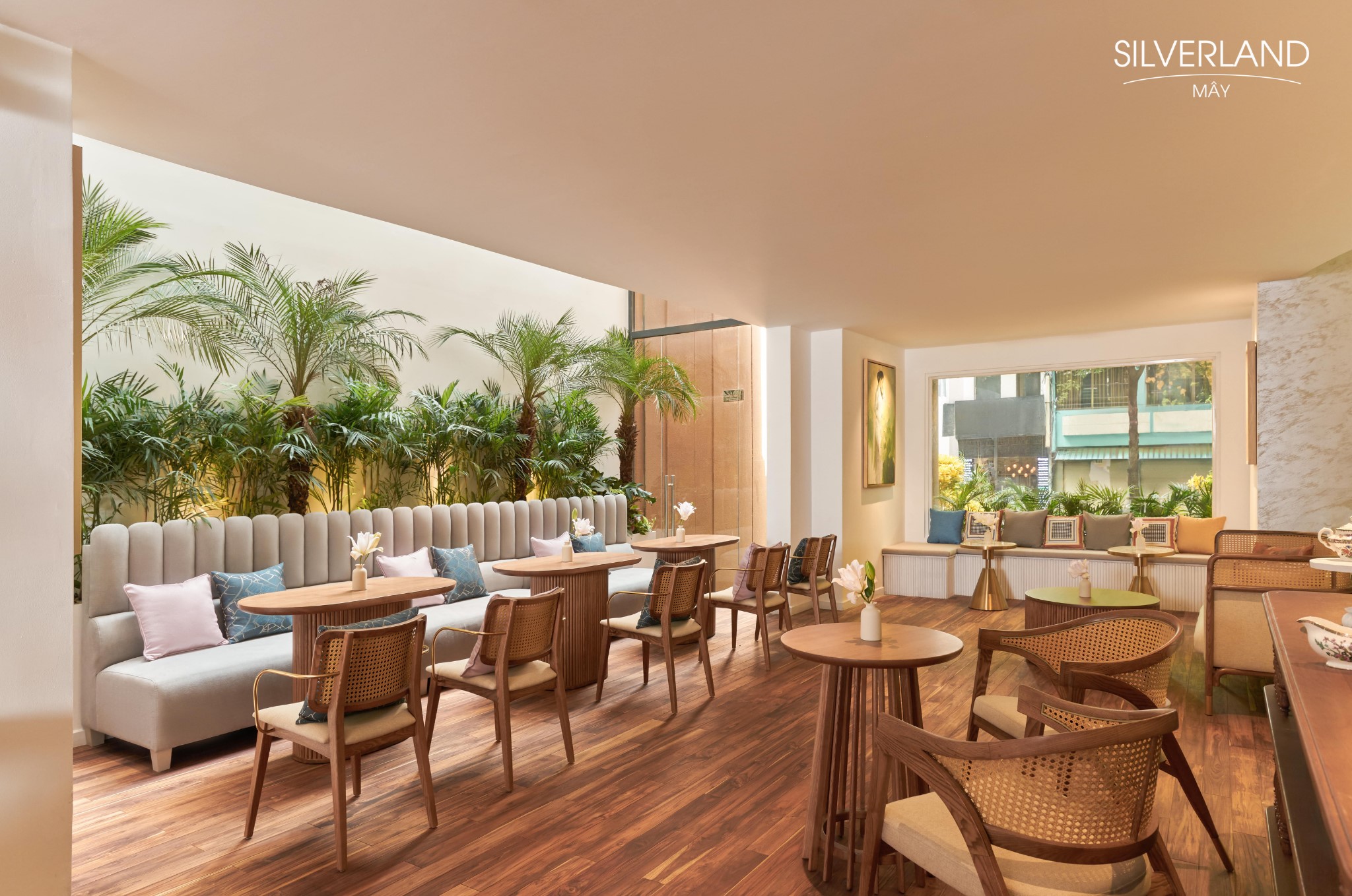 Bason Caf&eacute; Thi Sach