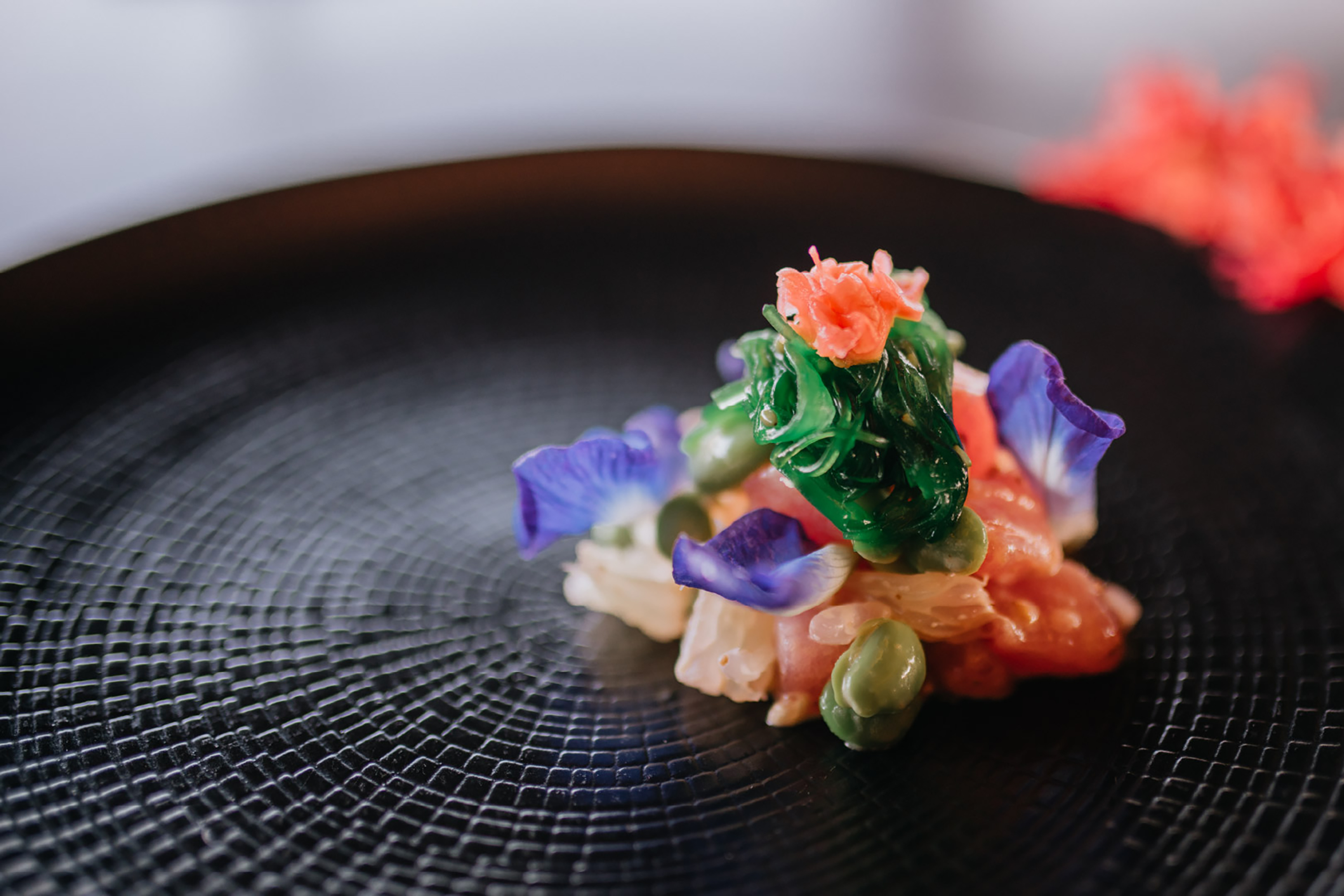 おまかせメニュー　一例