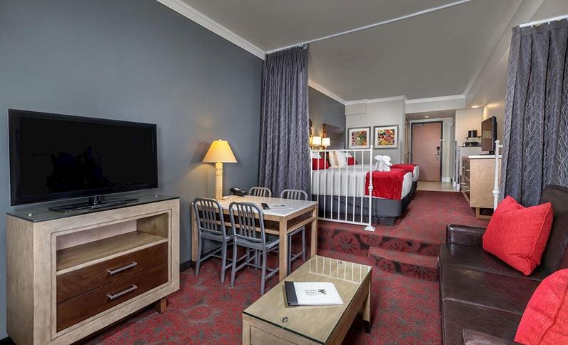 ☆デラックススタジオスイート (クイーンベッド2台＆ソファーベッド)