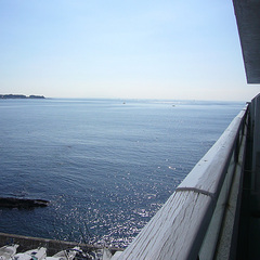 マリーナ側客室から見える景色