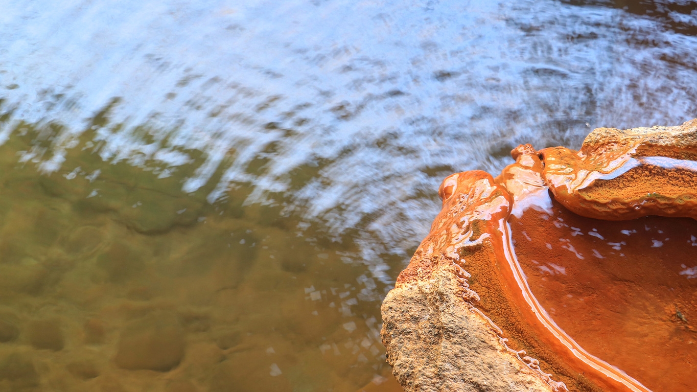 【月プラン-tuki】特選福島牛フィレステーキ★四季食材の創作料理と自家源泉の露天風呂