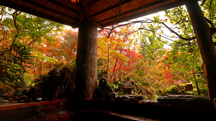 【10/24〜11/7のご予約はこちらから】秋の行楽シーズン到来！旬の味覚×絶景の紅葉露天♪2食付