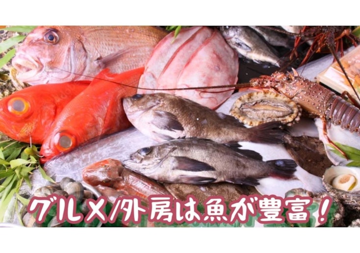 千葉と言えば...海と魚でしょう