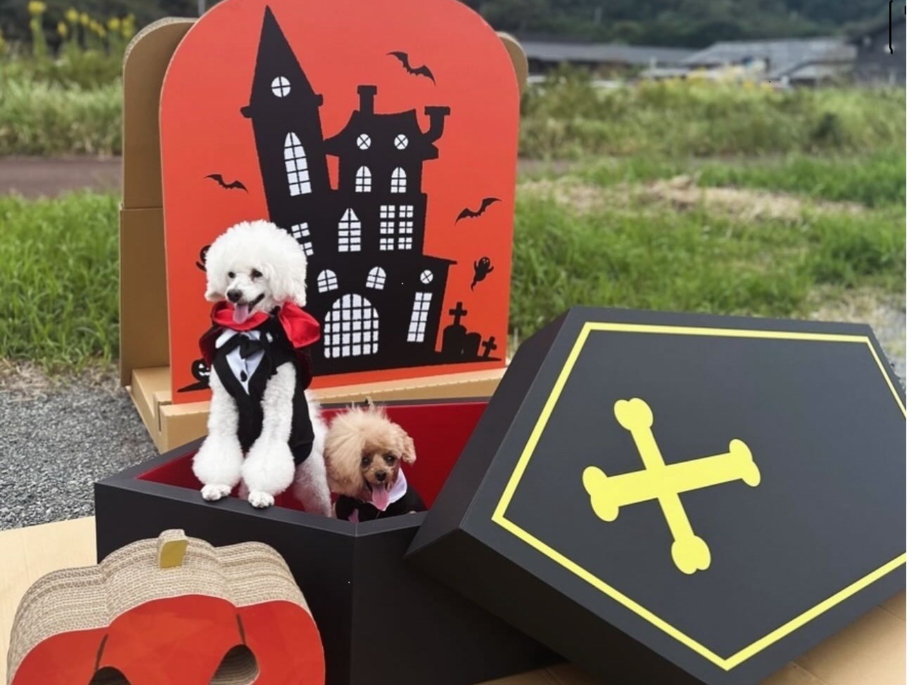 事前オーダーで撮影ブースも♪