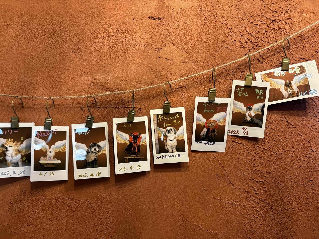 ワンちゃんチェキ