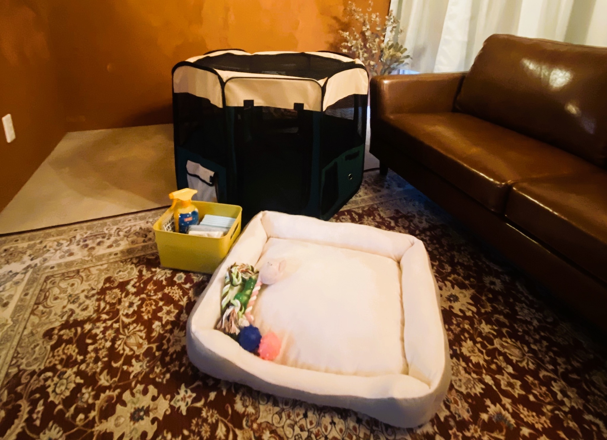 ワンちゃん用アメニティ