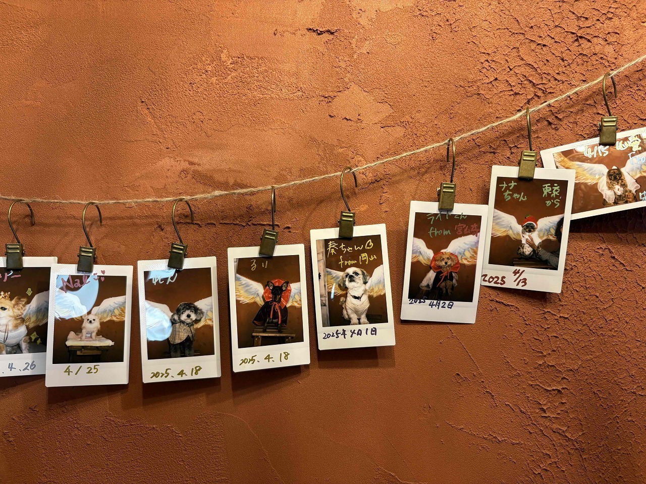 チェキで思い出を残してください♪