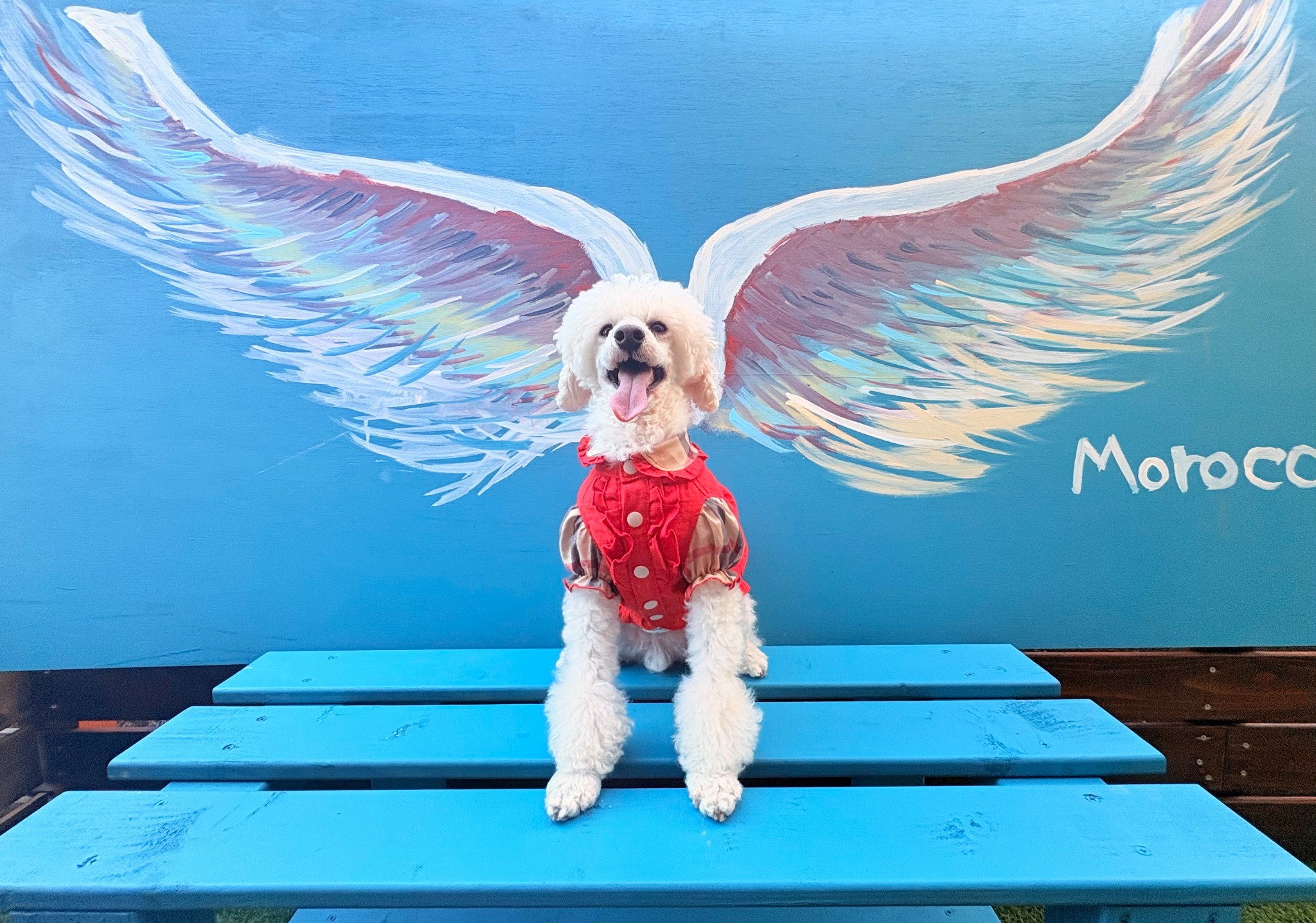 Morocco wingでメモリアルフォト