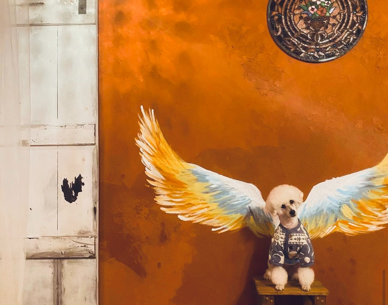 ワンちゃんも喜びます♪