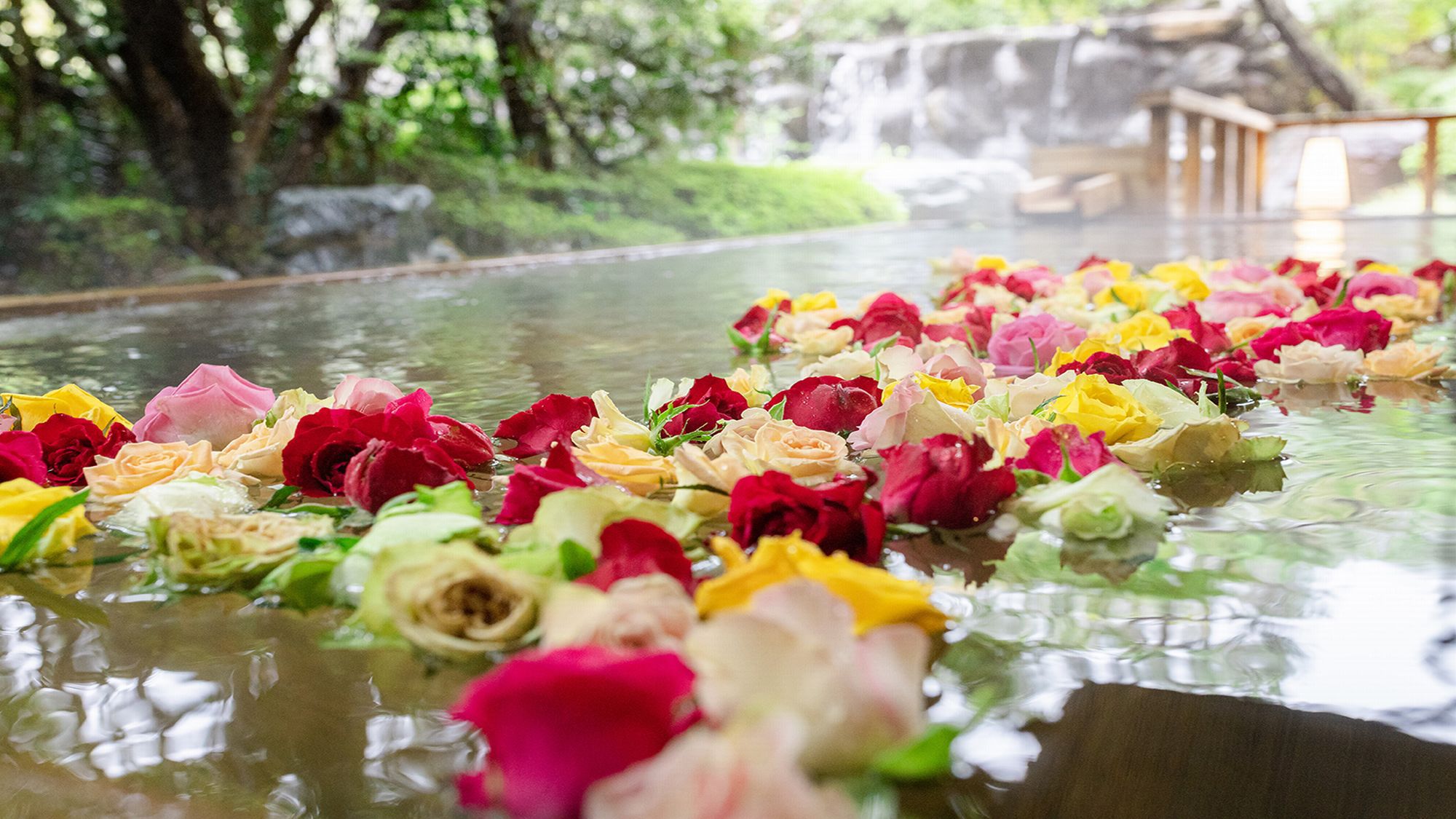 【庭の湯】薔薇妃乃湯（こもれびの湯）