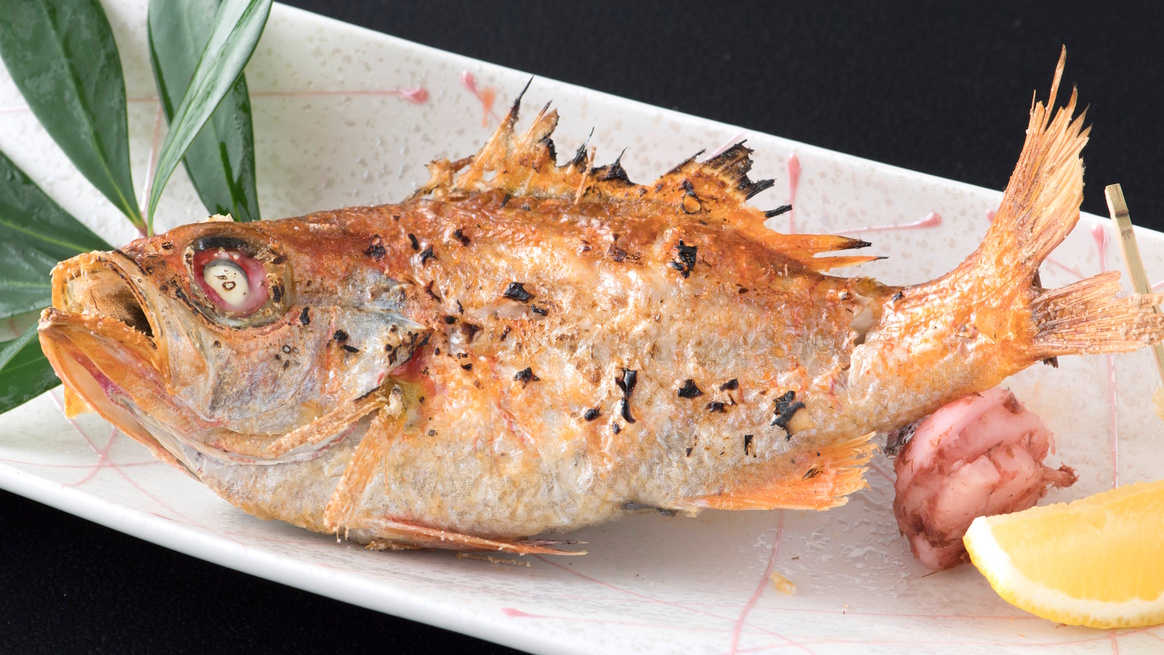【料理長厳選☆豪華四大食材！】活鮑・イセエビ・鳥取和牛にノドグロ★山陰の至福を凝縮★美食会席♪