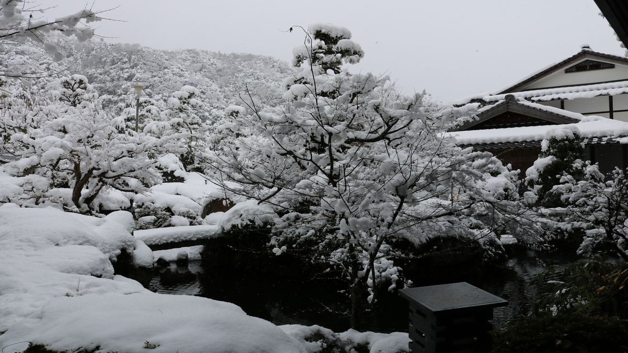 【日本庭園】ロビーからの景色～冬～