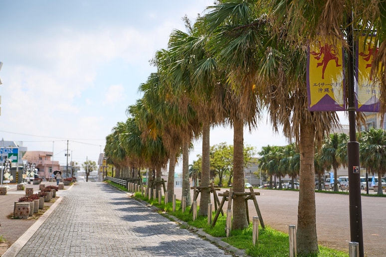 沖縄市役所前の風景