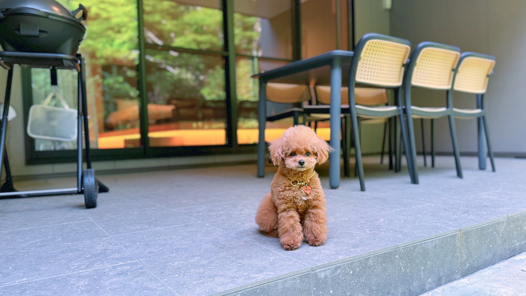 【テラス】ワンちゃんも過ごしやすい、開放的なテラス