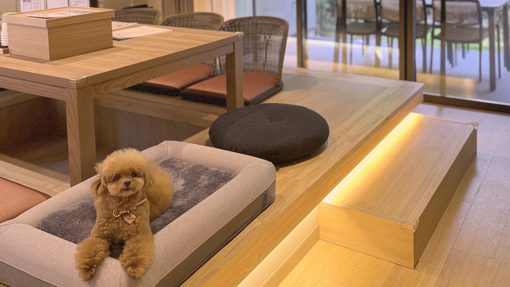 【客室】ワンちゃんも一緒にお寛ぎいただけます