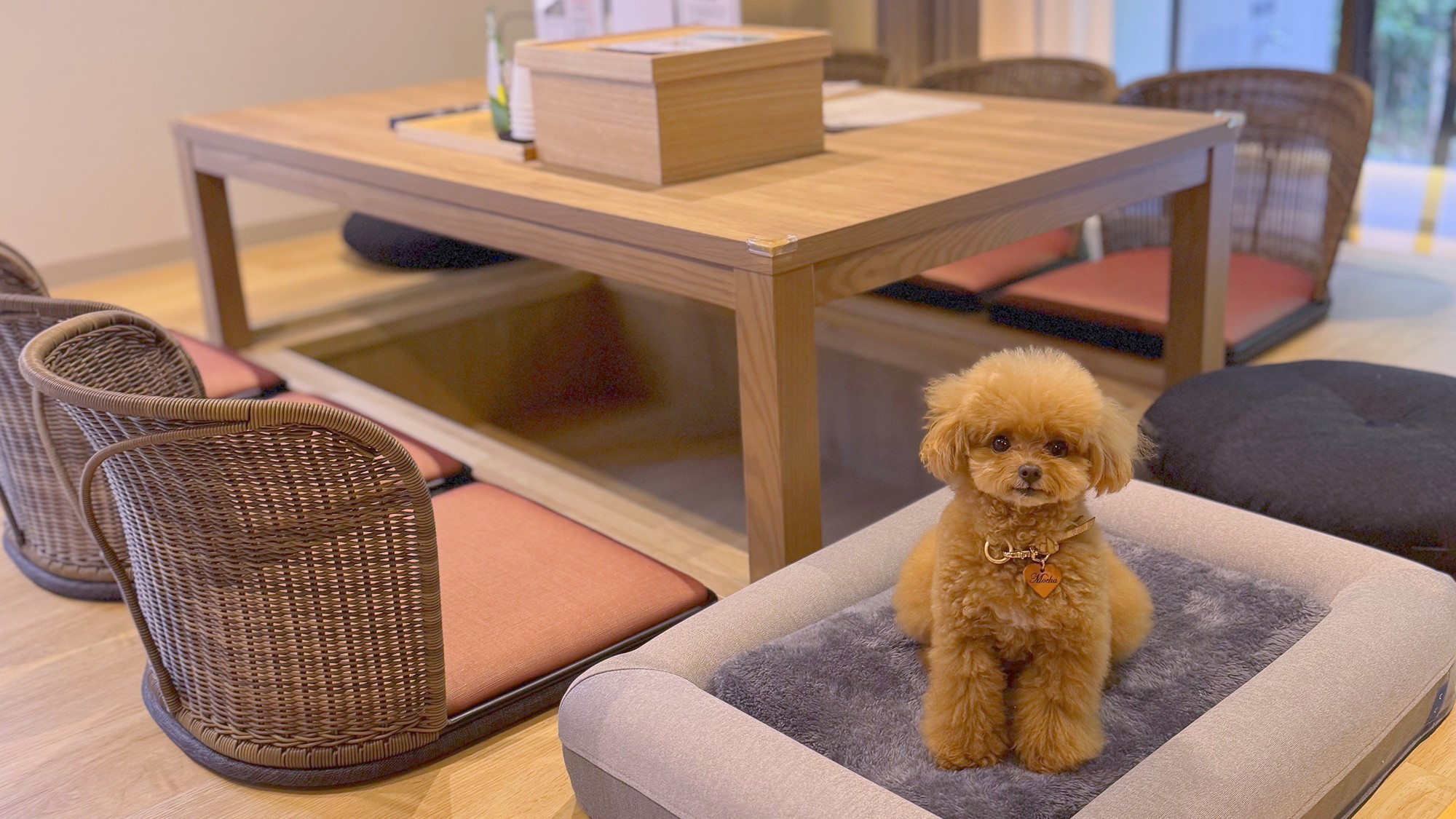 【客室】ワンちゃんも一緒にお寛ぎいただけます