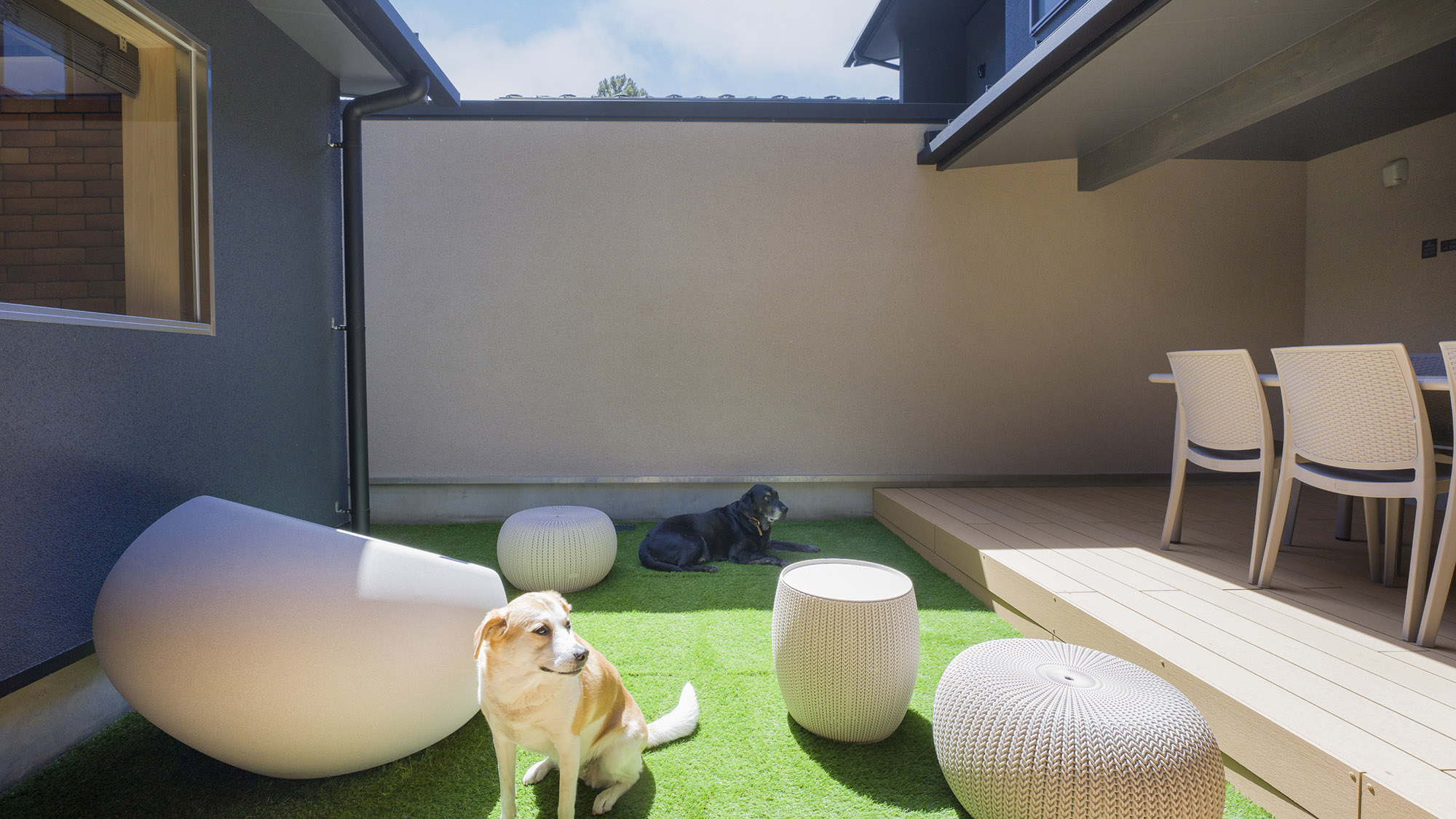 【B(ペット可)：テラス】太陽の光差し込むあたたかな空間で、ワンちゃんと一緒にひなたぼっこ