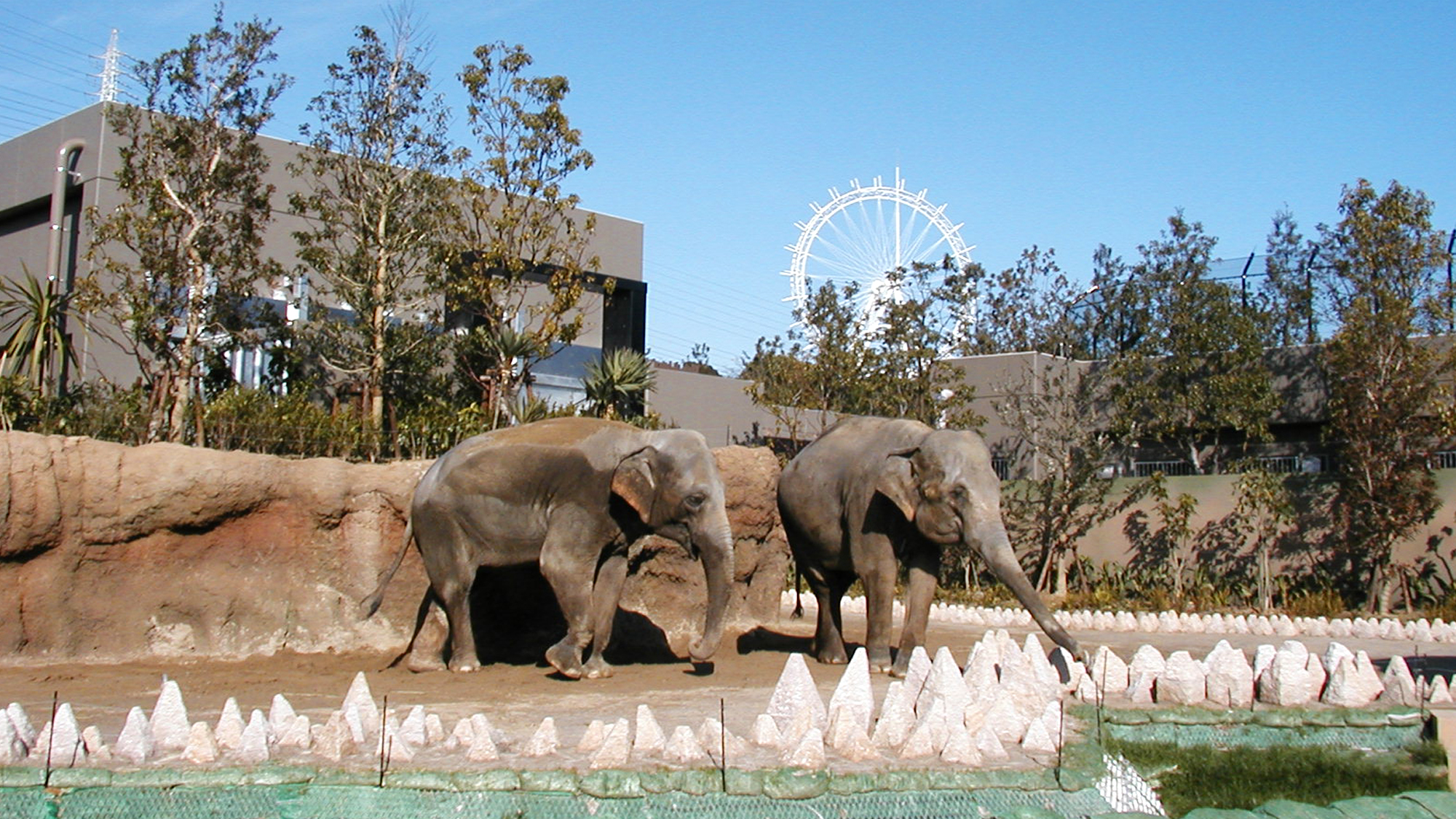 到津（いとうず）の森公園