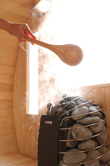 ロウリュウできます