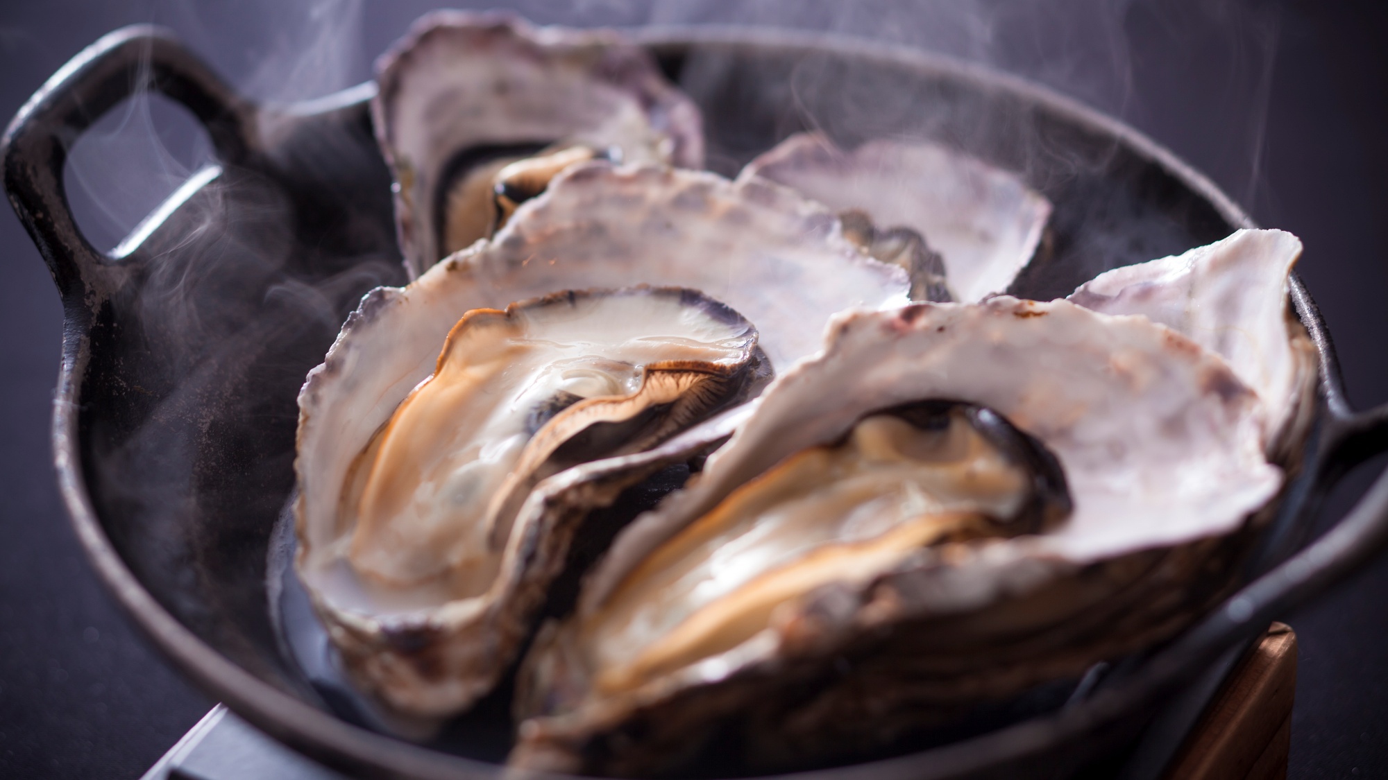 【冬季限定】  冬の味覚  厳選牡蠣で味わう『牡蠣鍋』や『蒸し牡蠣』を堪能する牡蠣会席プラン