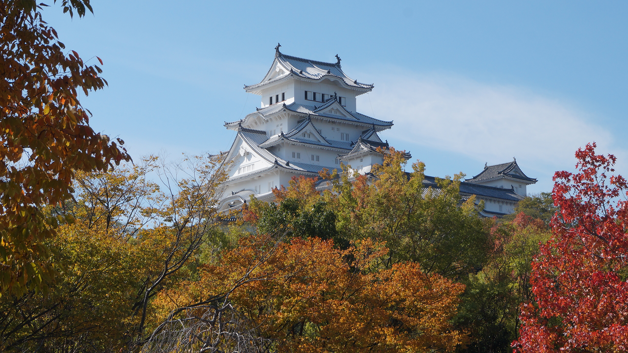 秋の紅葉の中の姫路城