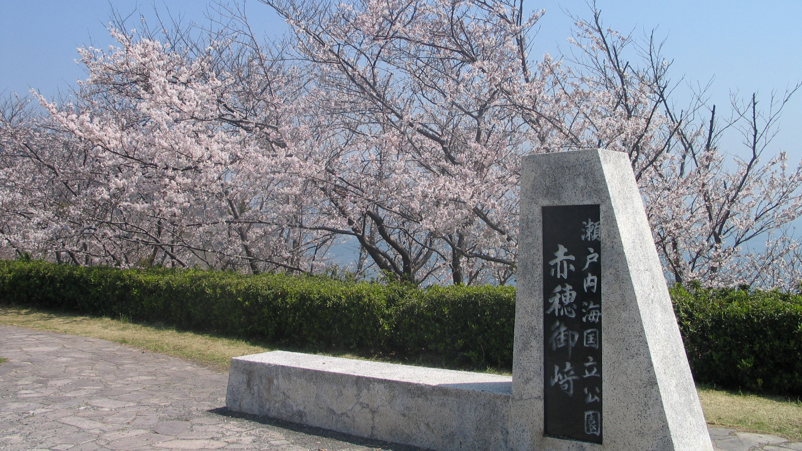  赤穂御崎の桜毎年、さくら祭りも開催されます。
