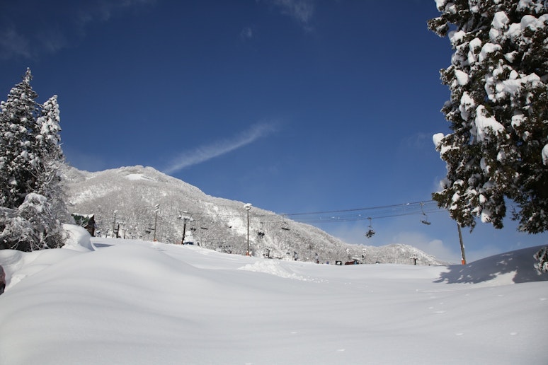 Ski-in/out location to Goryu Ski Resort