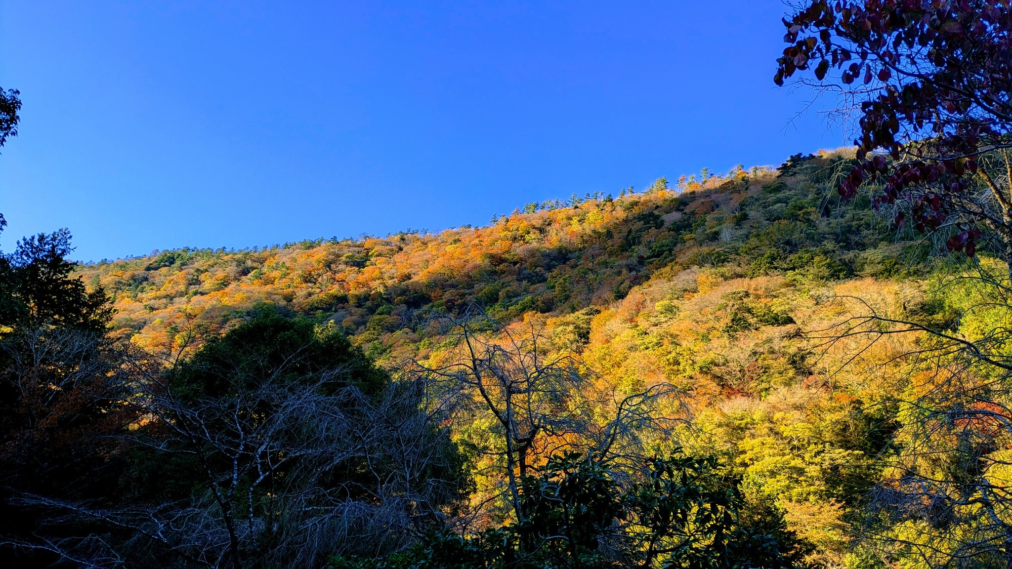 マウンテンビューが楽しめます。（秋）