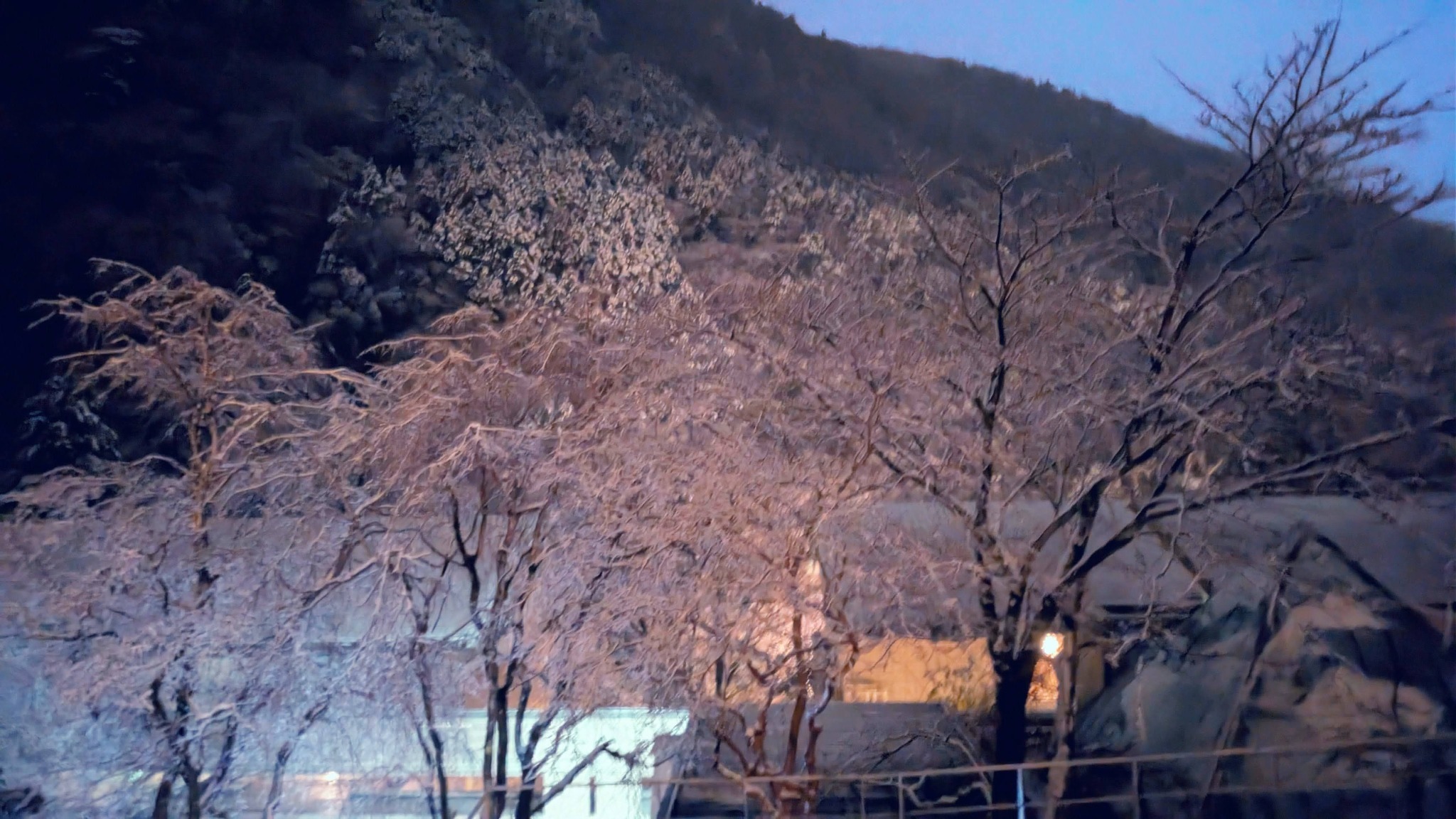冬の眺望・雪景色です。