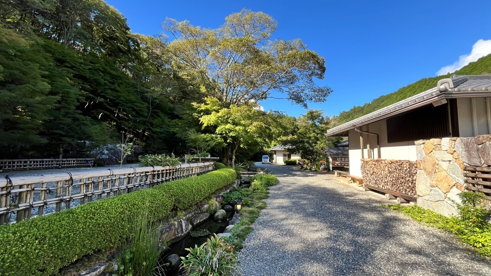 【初夏の風物詩】神秘的で美しいほたるを見に行こう＜ガイド付＞夕食は梅花会席