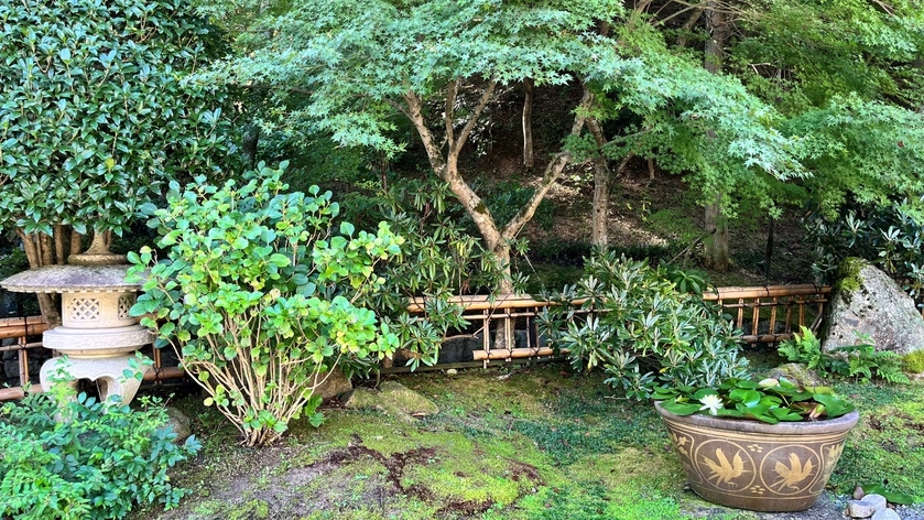 【梅花会席/2食付】お得に旅する直前割プラン（梅花会席）