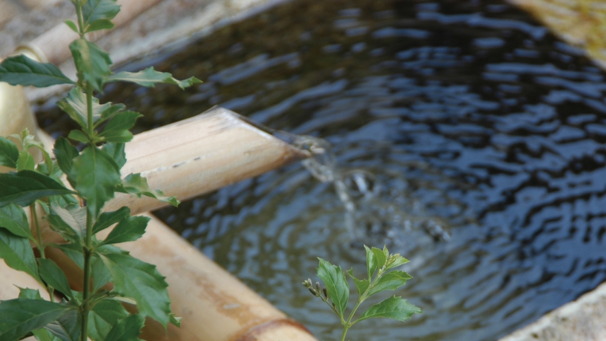 *【池】庭には鯉が泳ぐ池がございます。