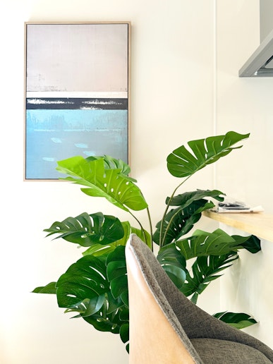 心を落ち着かせる効果のある観葉植物が心をリラックスさせてくれます。