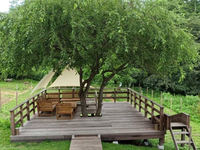 屋外へ散歩したくなる景色