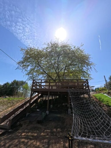 シンボルツリー