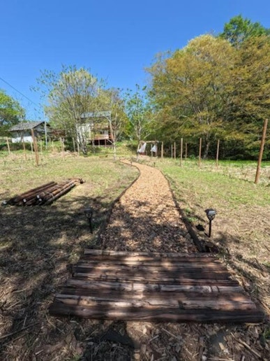 散歩をするだけでも楽しい