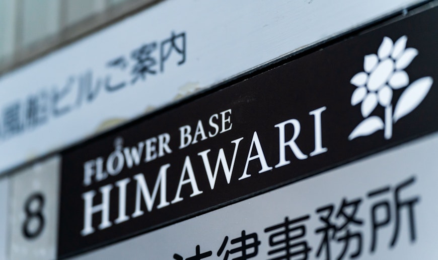 Flower baase Himawari