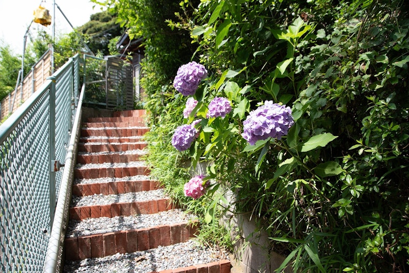 四季おりおりの自然が美しい物件です。