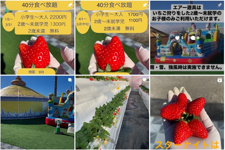 引用元:いちご狩りベリータウンインスタ　近くではいちご狩りも　施設から車で約５分