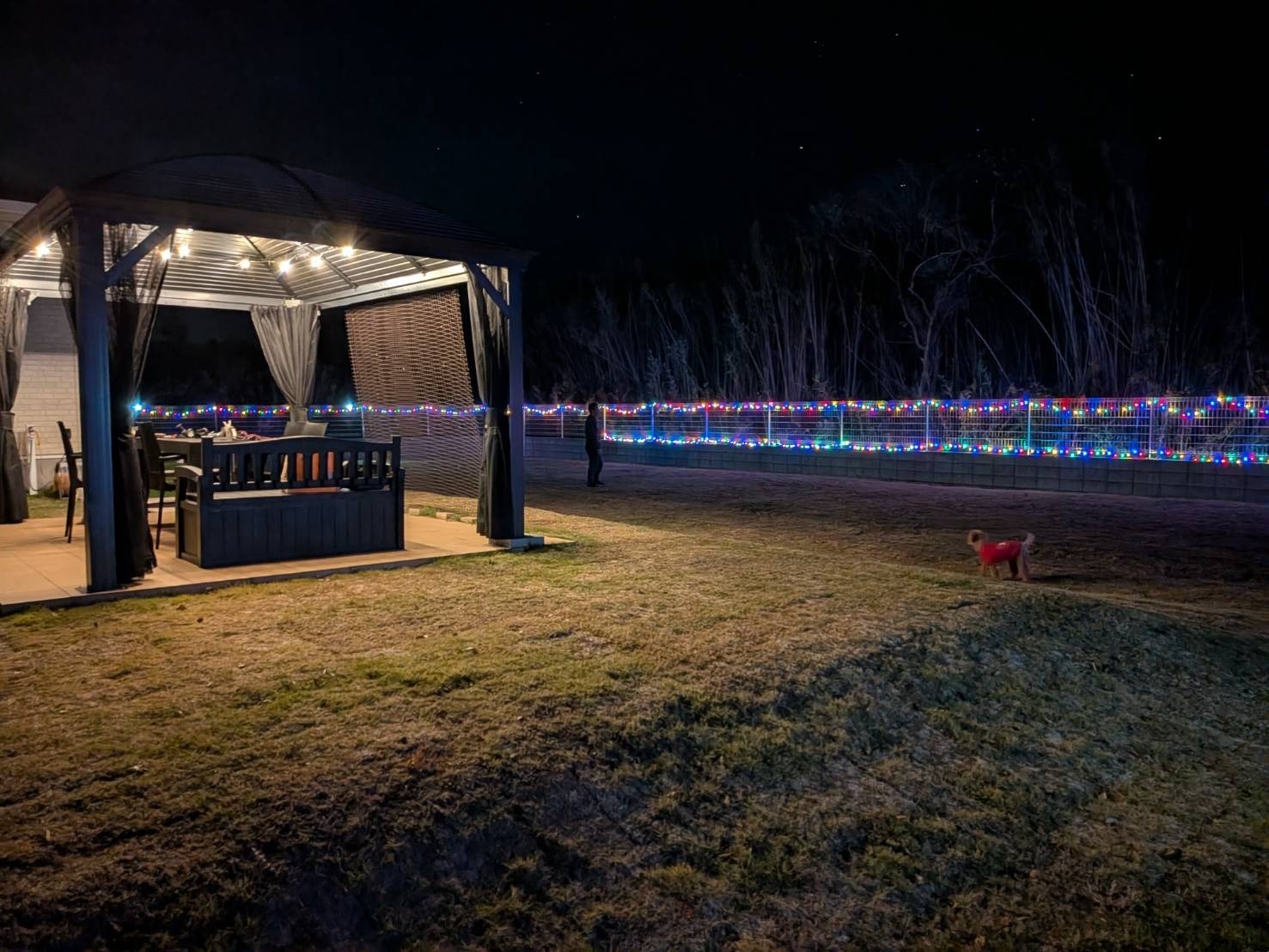 照明も蚊帳もあるので夜のBBQも楽しめます（20時以降はご配慮をお願いします）