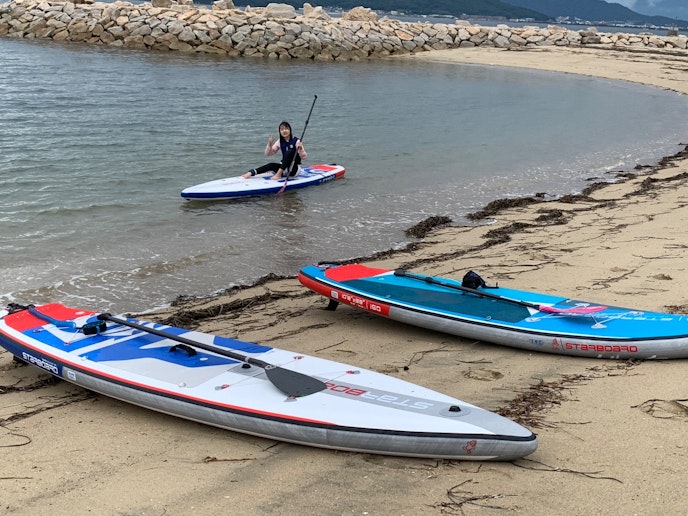 サップ（オプション）