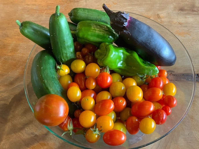 農業収穫体験の収穫物